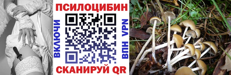 Псилоцибиновые грибы ЛСД  Комсомольск 